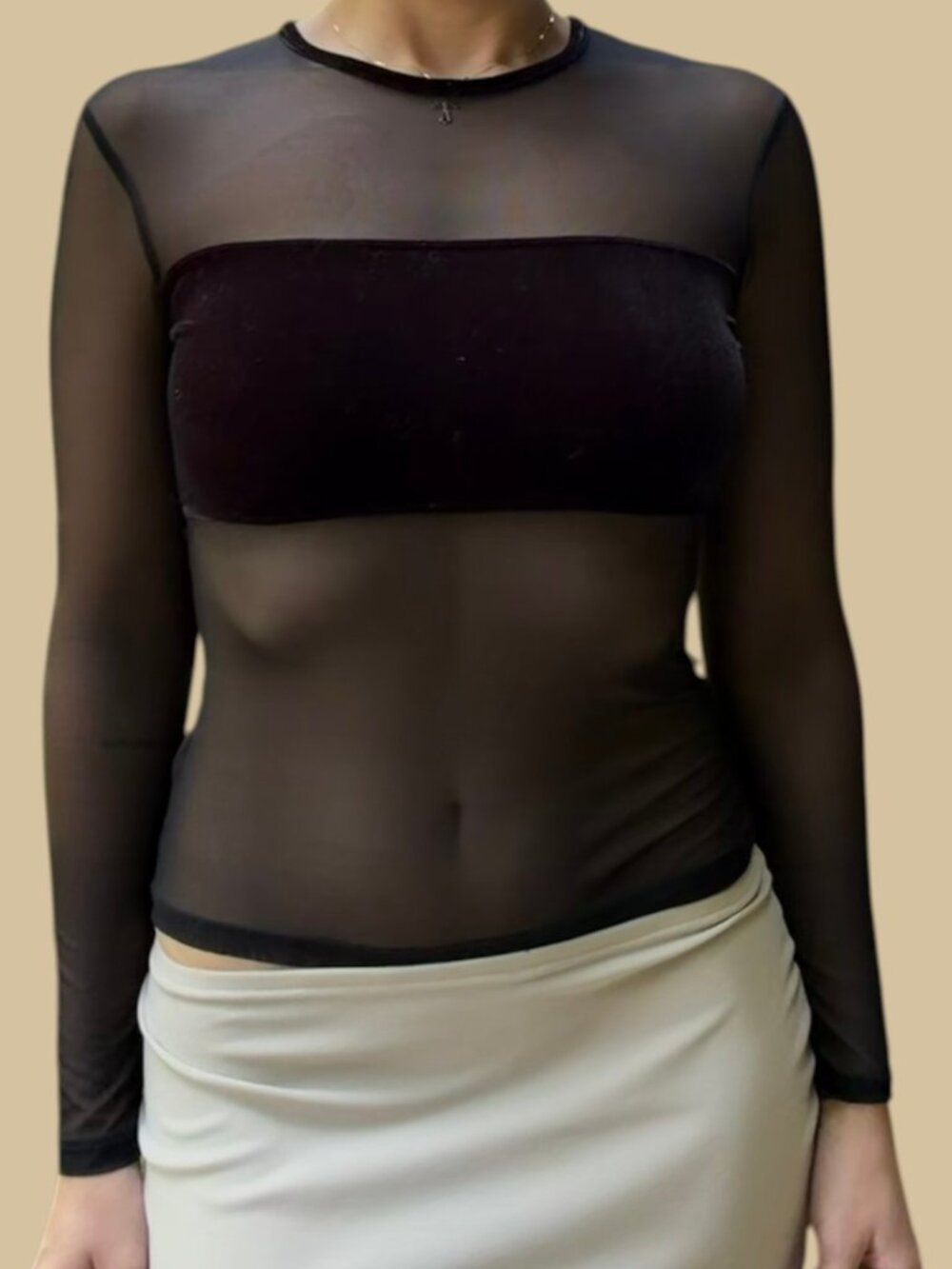 Express World Brand Velvet Sheer Mesh Going Out Longsleeve Top Vintage 90s Y2K